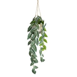 Alto Artificial Alocasia Plant in Hanging Pot, 105cm