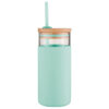 Avanti Glass Smoothie Tumbler with Straw, 500ml, Mint