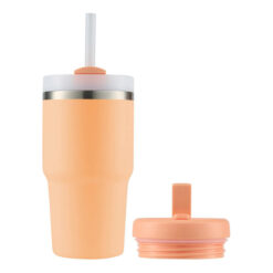 Avanti HydroQuench Stainless Steel Smoothie Tumbler with Two Lid, 550ml, Peach