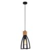 Faro Iron Frame Pendant Light, Black