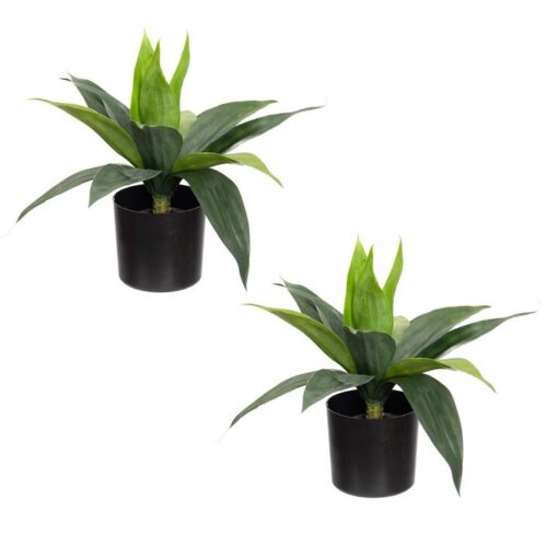 Glamorous Fusion Potted Artificial Agave Plant, Set of 2, 34cm