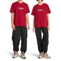 Lunar New Year Graphic Short Sleeve T-Shirt Red