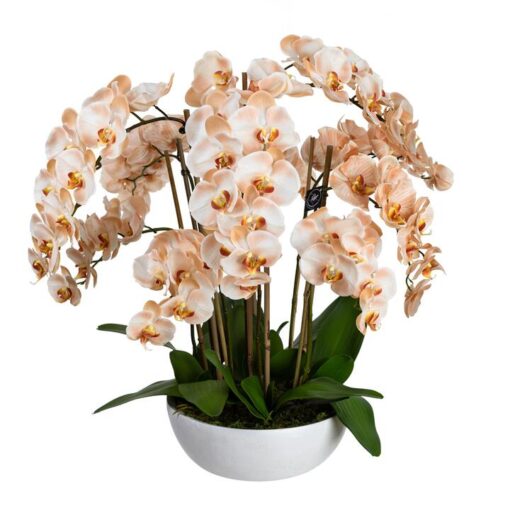 Mireille Artificial Phalaenopsis Orchid in Ceramic Bowl, 80cm, Salmon Flower