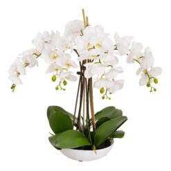 Montray Artificial Phalaenopsis Orchid in Ceramic Bowl, 45cm, White Flower