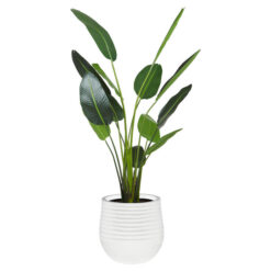 Rogue Handcrafted Artificial Bird of Paradise in Ryker Planter, 208cm