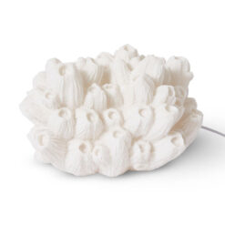 Coral Lamp, Sea Lotus