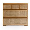 Destin Teak Timber & Rattan 5 Drawer Chest