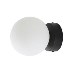Globo IP44 Glass & Steel Vanity / Wall Light, Black