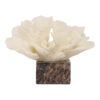 Zeira Resin Coral Sculpture on Marble Base