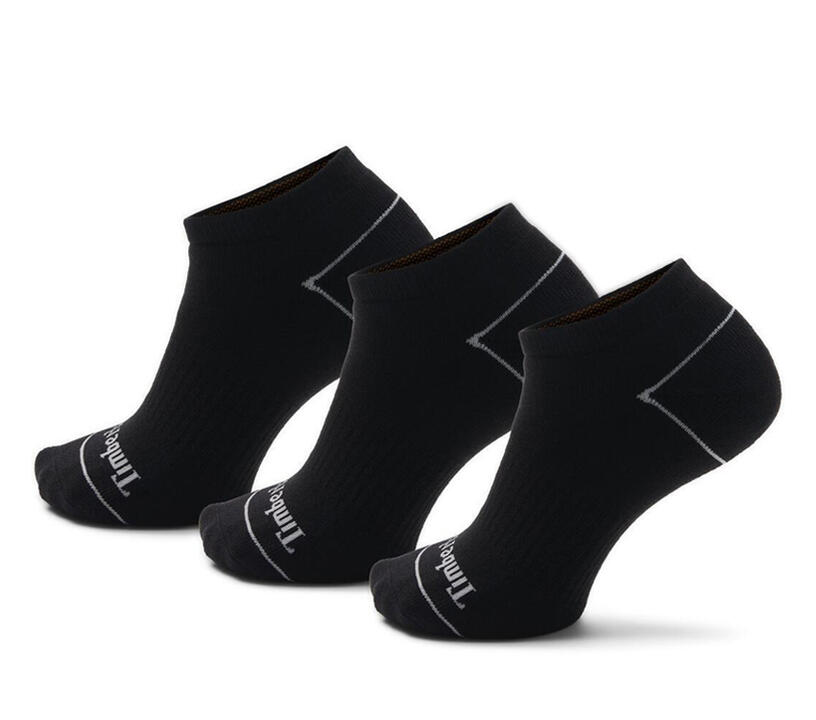 Bowden 3-Pack Full Cushion No-Show Sock Black Bowden 3-Pack Full Cushion No-Show Sock Black
