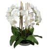 Montray Artificial Phalaenopsis Orchid in Ceramic Bowl, 65cm, White Flower