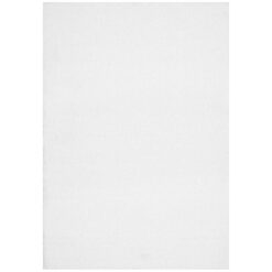 Angel Shag Rug, 290x200cm, White